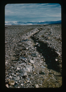 Image: Ridge between soil polygons reflects stripe pattern ground overlying permafros