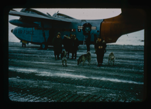 Image: Field party landed at Station Alert, waiting clear weather. Dogs roaming near