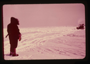 Image of Bulldozer clearing air strip on Ellesmere Island Ice Shelf.