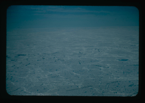 Image: Pack ice near Ice Island T-3.
