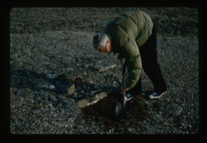 Image of Count Eigil Knuth, Danish archaeologist, digs in old Eskimo [Inuit] tent rings