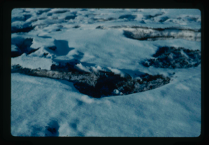 Image of Melted elliptical shape snow mound in snow cover of delta at Centrum Lake.