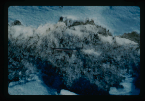 Image of Close-up of snow mound in melting condition of snow cover. 