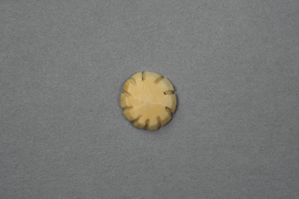 Image of Ivory button w/serated edge