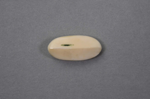 Image: Ivory oval pin protrudes with a line through the center,  carved clasp is co