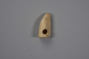 Image: Tooth-shaped ivory with hole drilled through