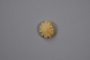 Image: Ivory button with perimeter in-cuts