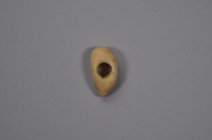 Image of Pierced tooth (combined w/1994.9.323)