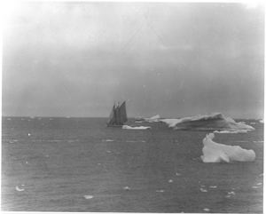 Image of Schooner Bowdoin sailing among small icebergs