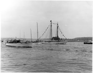 Image: Schooner Bowdoin, dressed and with other boats near mouth of harbor