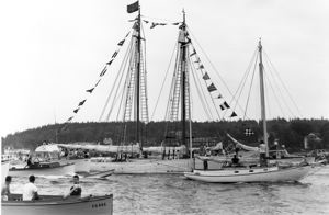 Image of Schooner Bowdoin, dressed and surrounded by  other boats in harbor