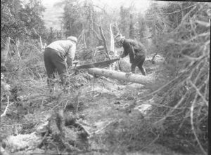 Image of Kenneth Rawson and Arthur Rueckert cutting log