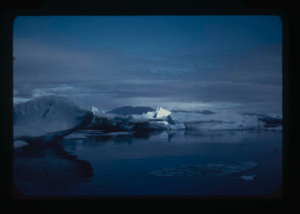 Image: Icebergs, one in sunlight