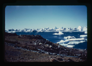 Image: Many icebergs seen from shoreline (2 copies)