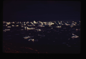 Image: Many icebergs in midnight sunlight (2 copies)