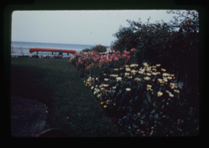 Image: Garden at MacMillan home (2 copies)