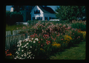 Image: Garden at MacMillan home