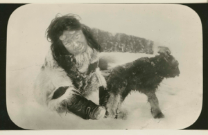 Image of Eskimo [Inuk] with glasses, and month-old musk ox