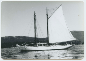 Image of Schooner Bowdoin, one sail up
