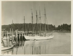 Image of Schooner Bowdoin docked; a second schooner along side