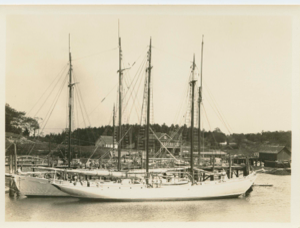 Image of A schooner docked; Bowdoin along side, stern in