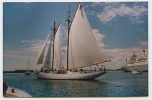 Image: Schooner Bowdoin under full sail N62 22'/N67 17'