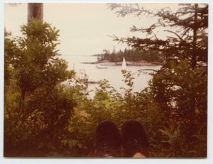 Image of View through trees to float and sailboats