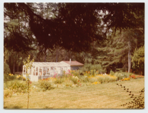 Image of Garden and greenhouse
