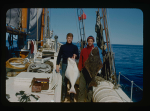 Image of Two crew men on deck holding halibut