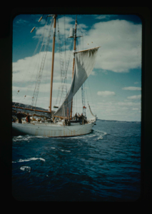 Image: The Bowdoin with sails relaxed