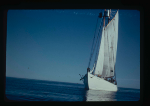Image: The Bowdoin under sail (2 copies)