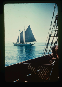 Image of The Bowdoin as seen from a Portuguese schooner (2 copies)
