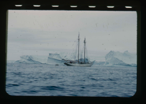 Image: The Bowdoin near icebergs