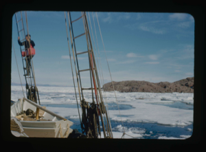 Image: The Bowdoin in ice pack. Donald MacMillan in rigging.