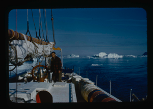 Image of The Bowdoin. Icebergs beyond. Crewman at wheel
