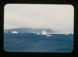 Image of The Bowdoin near icebergs