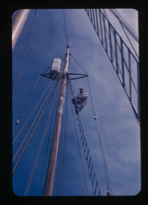Image: Pete Gray in rigging