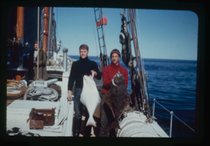 Image: Peter Marden and Ed Thorton with halibut. (Companion to AM 1995.2.445)