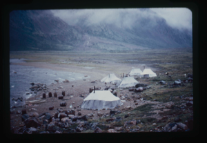 Image of Tents, dogs and barrels along shore