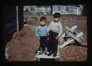 Image: Two Eskimo [Inuit] boys of Nain