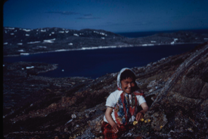 Image: Eskimo [Inuk] girl on rocks, by flowers