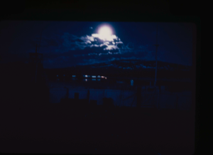 Image: Moonlight