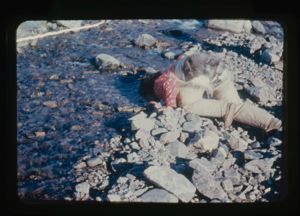 Image of Prone Eskimo [Inuk] woman drinking from stream. Copyright N.G.S