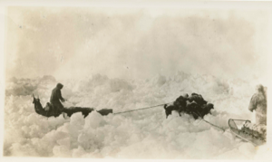 Image of Sledging over rough ice near the Polar Sea