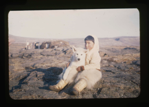 Image of Eskimo [Inuit] boy and dog. Sod house beyond 