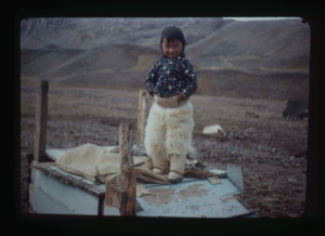 Image: Young Polar Eskimo [Inughuit] Boy, Etah, North Greenland