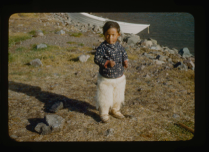 Image of Young Eskimo [Inuk] boy ( 2 copies)