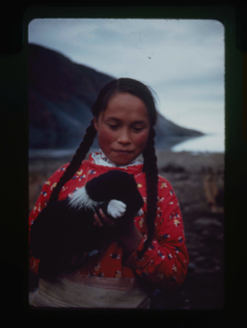 Image: Eskimo [Inuk] girl with long braids, holding young pup (2 copies)