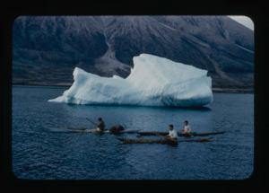 Image of Three kayakers by iceberg, coming to greet the Bowdoin (2 copies).