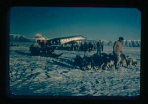 Image: Dog teams, sledge, crowd by air force plane